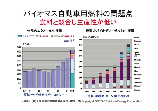 %E6%9C%A8%E8%B3%AA%E3%83%90%E3%82%A4%E3%82%AA%202009.11.28%EF%BC%883%EF%BC%89.jpg